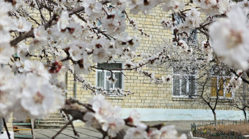 🌸 Наш цветущий детский сад: весна, природа и радость! 🌸 🌸 Наш цветущий детский сад: весна, природа и радость! 🌸.